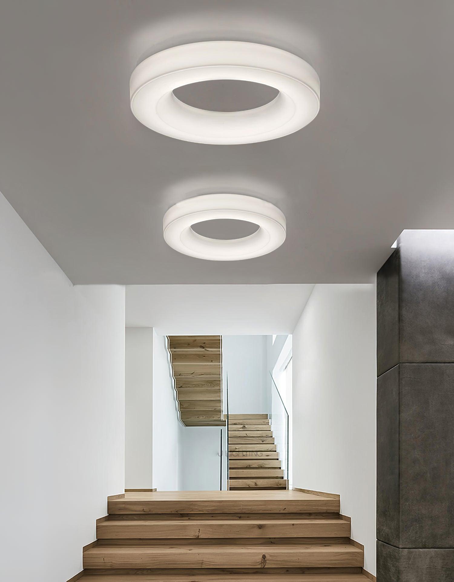 Erraeiel Modern Minimalist Art Ceiling Light
