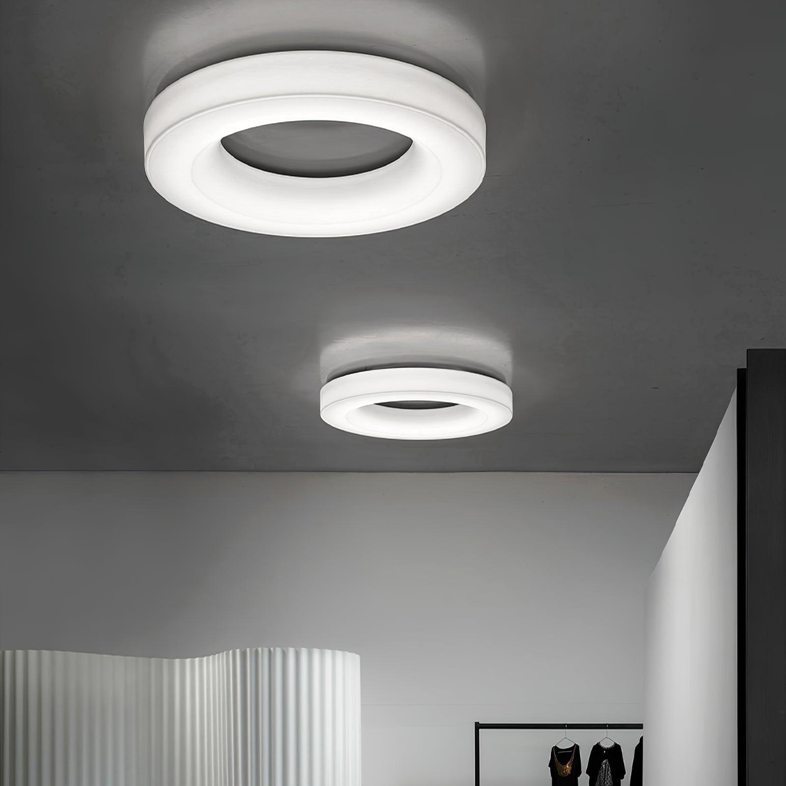 Erraeiel Modern Minimalist Art Ceiling Light