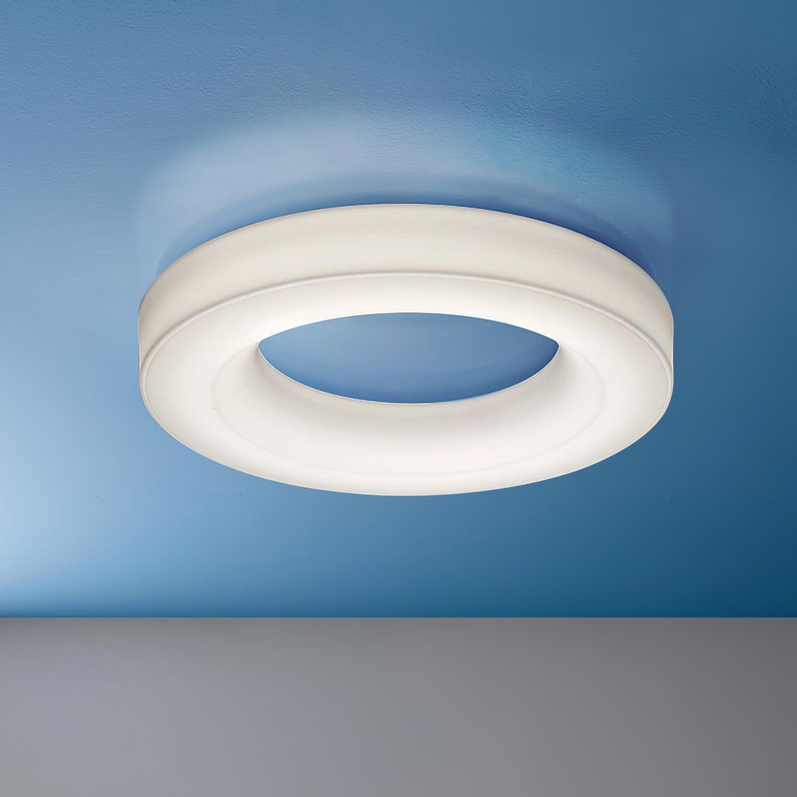 Erraeiel Modern Minimalist Art Ceiling Light