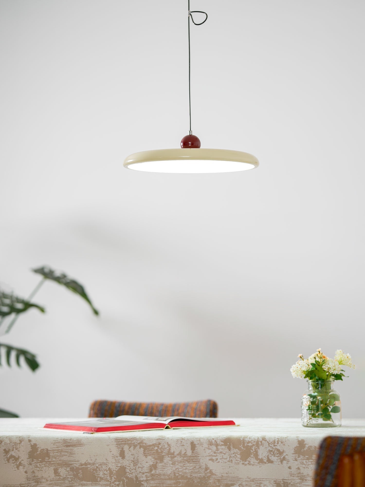 Exvane Acrylic Modern Pendant Lamp