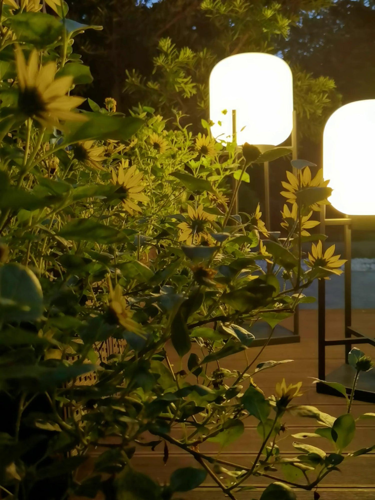 Sevenq Floor Lamp Lantern