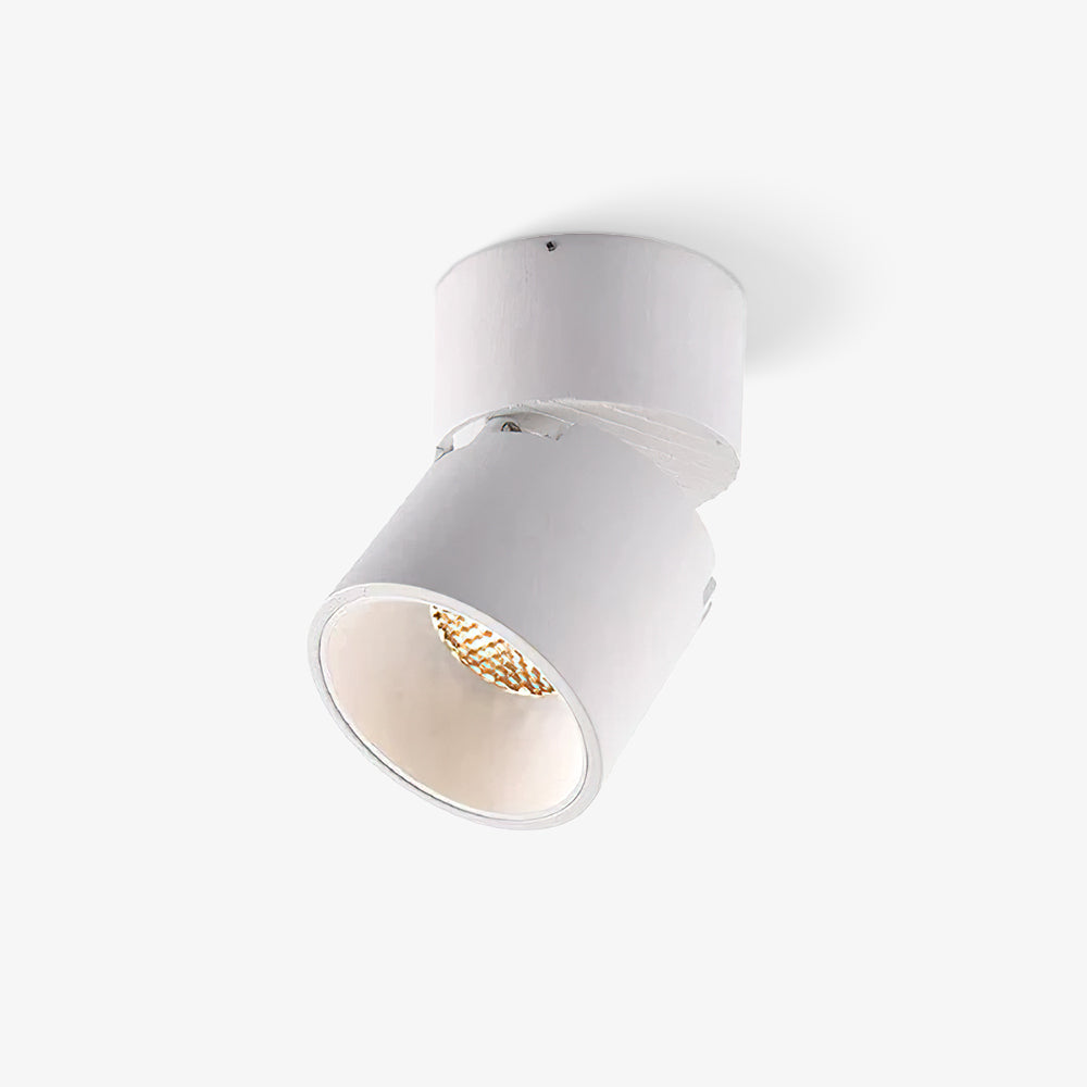 Alvynora Modern Minimalist Spotlights Ceiling lamp