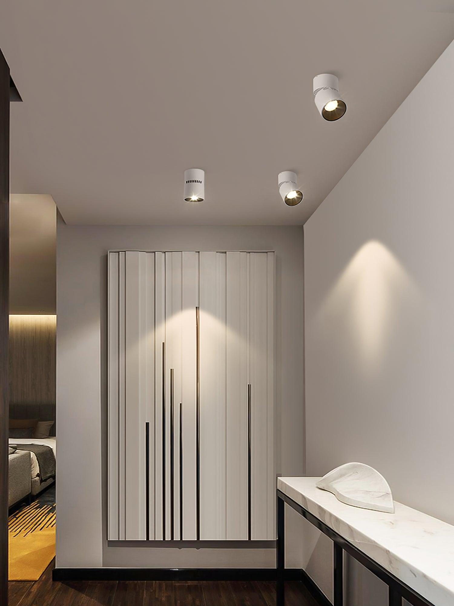 Alvynora Modern Minimalist Spotlights Ceiling lamp