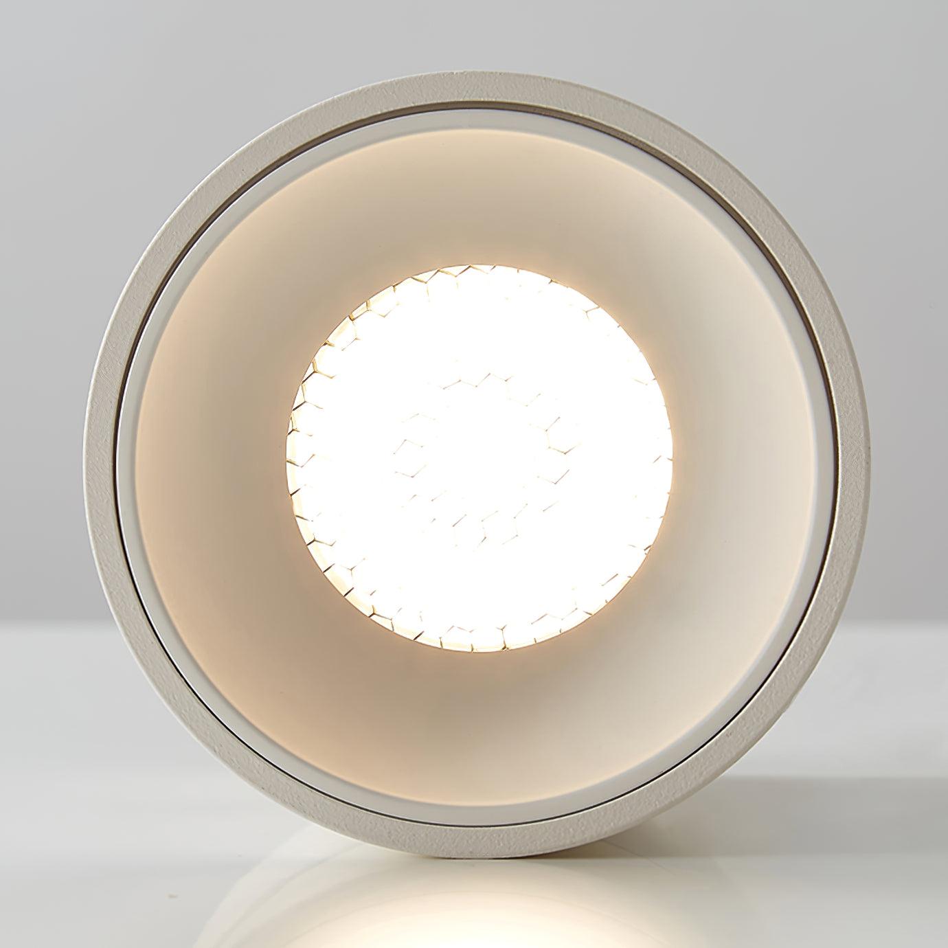 Alvynora Modern Minimalist Spotlights Ceiling lamp