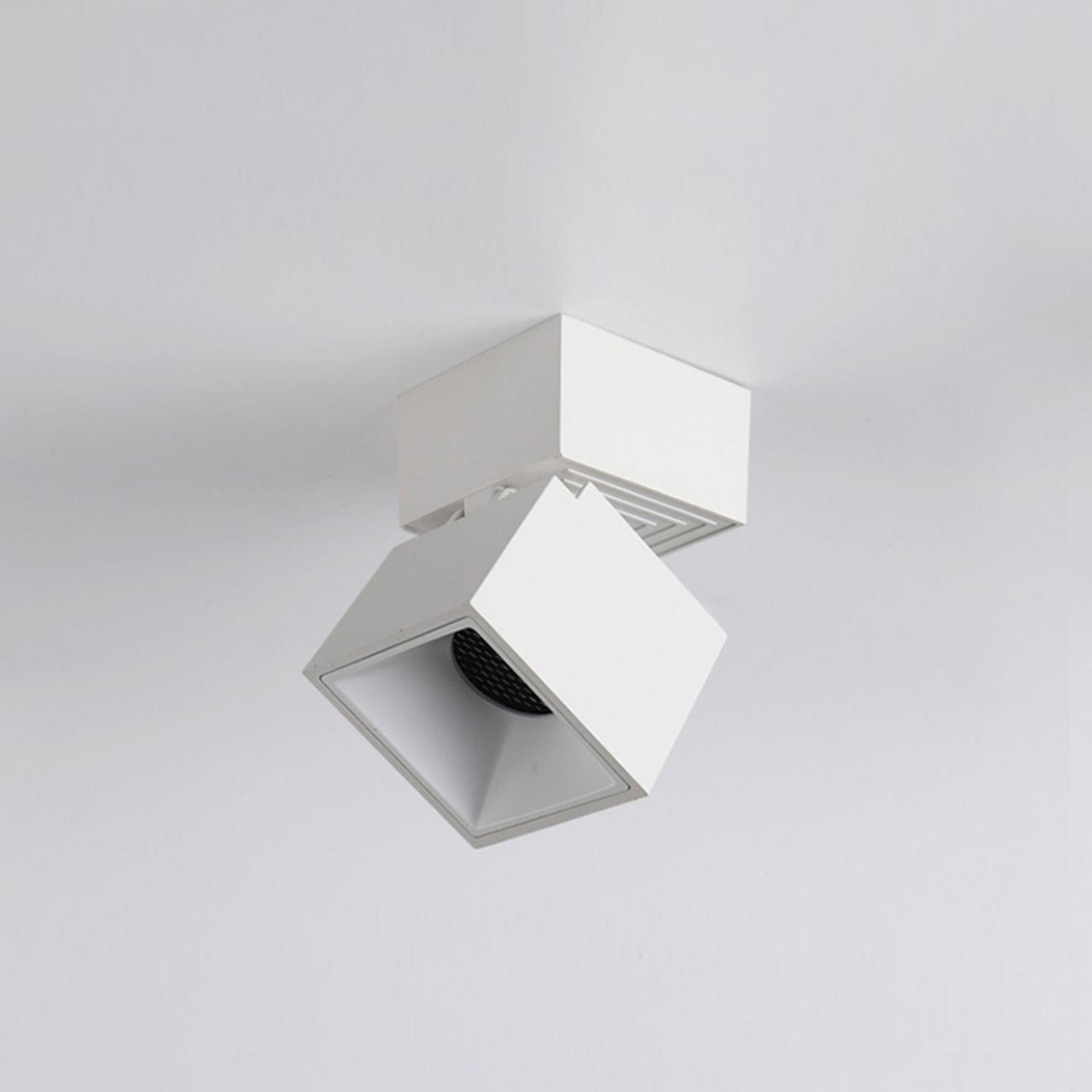 Alvynora Modern Minimalist Spotlights Ceiling lamp