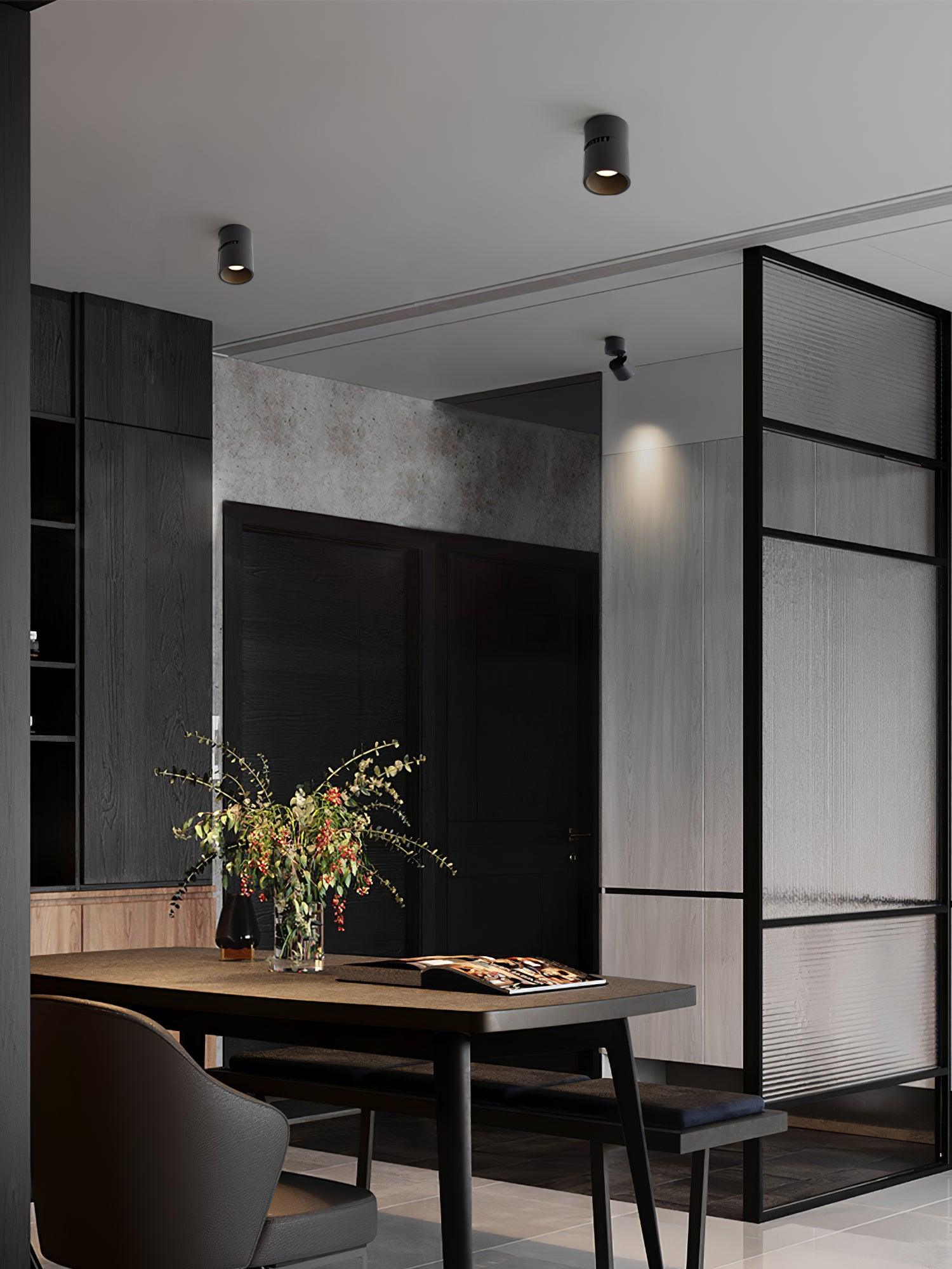 Alvynora Modern Minimalist Spotlights Ceiling lamp
