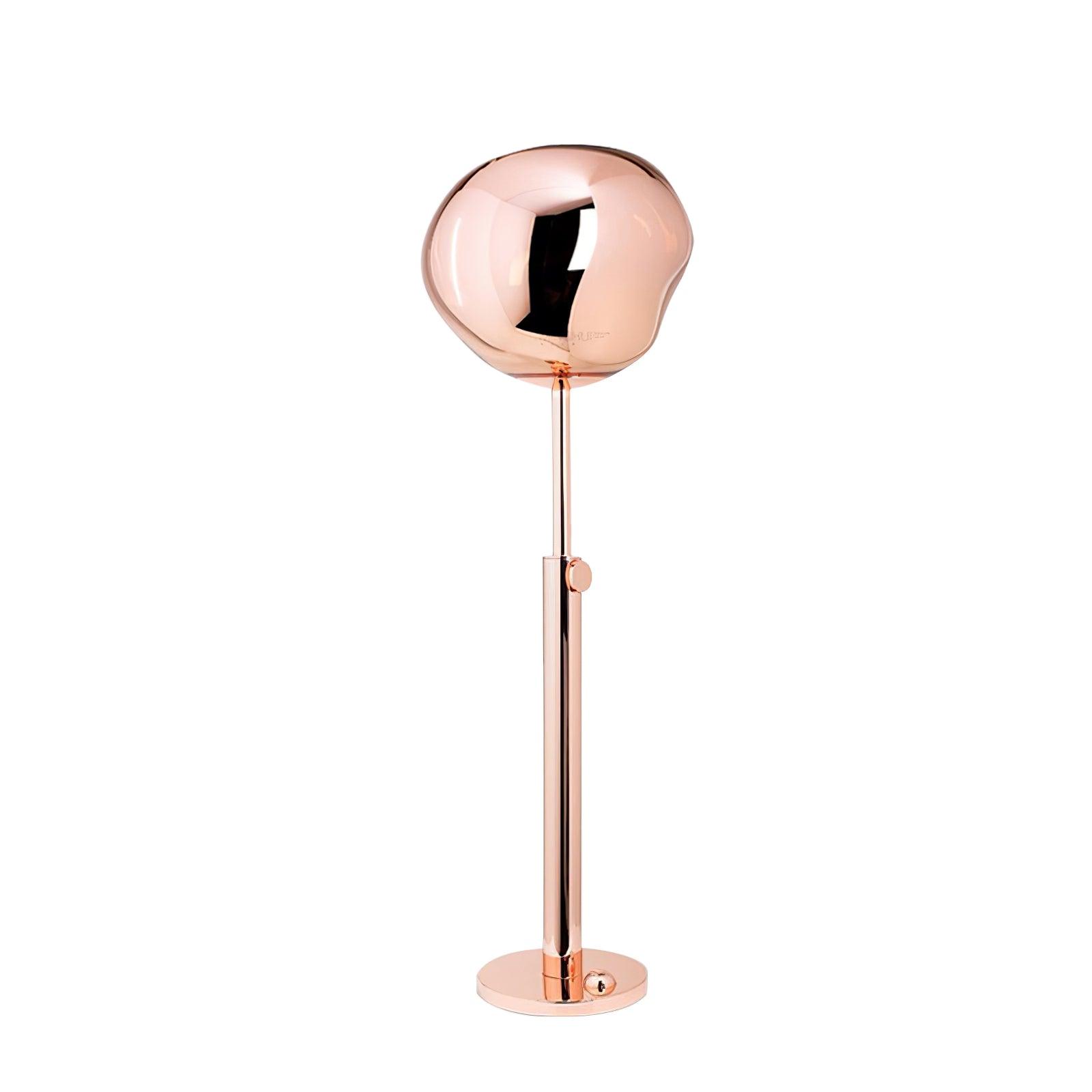 Orvenar Artistic Floor Lamp