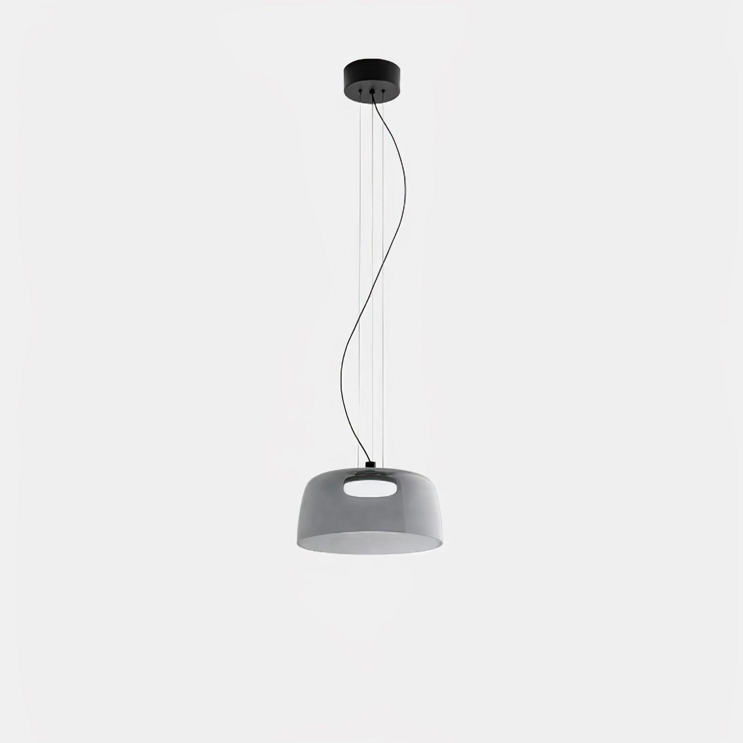 Renivine Industrial Pendant Light