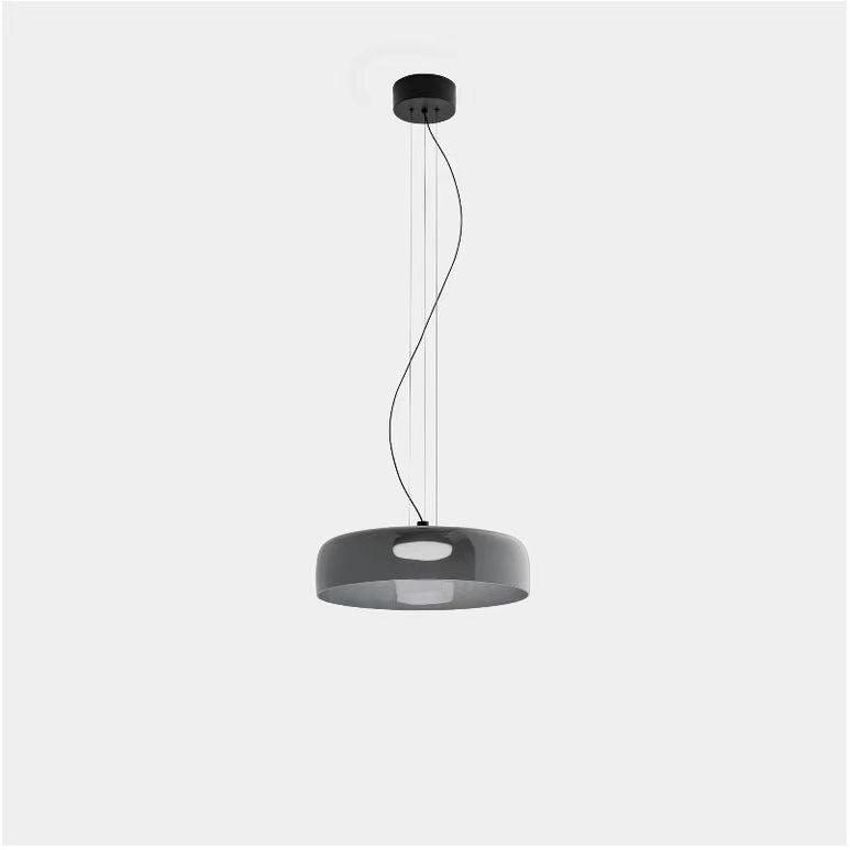 Renivine Industrial Pendant Light