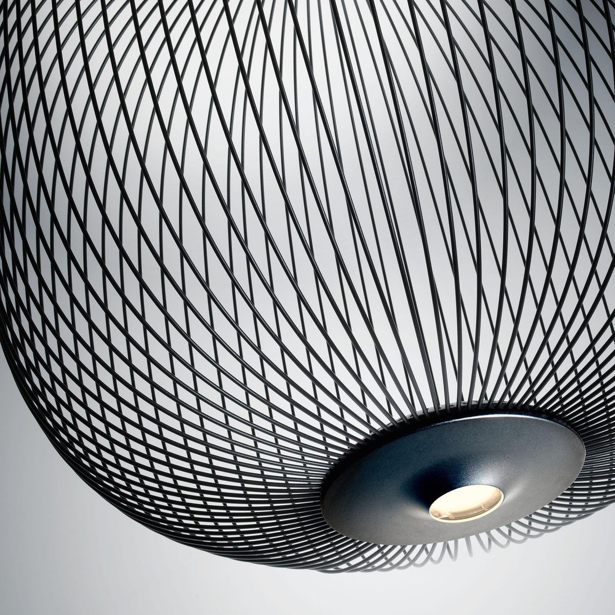 Reninora Pendant Lamp