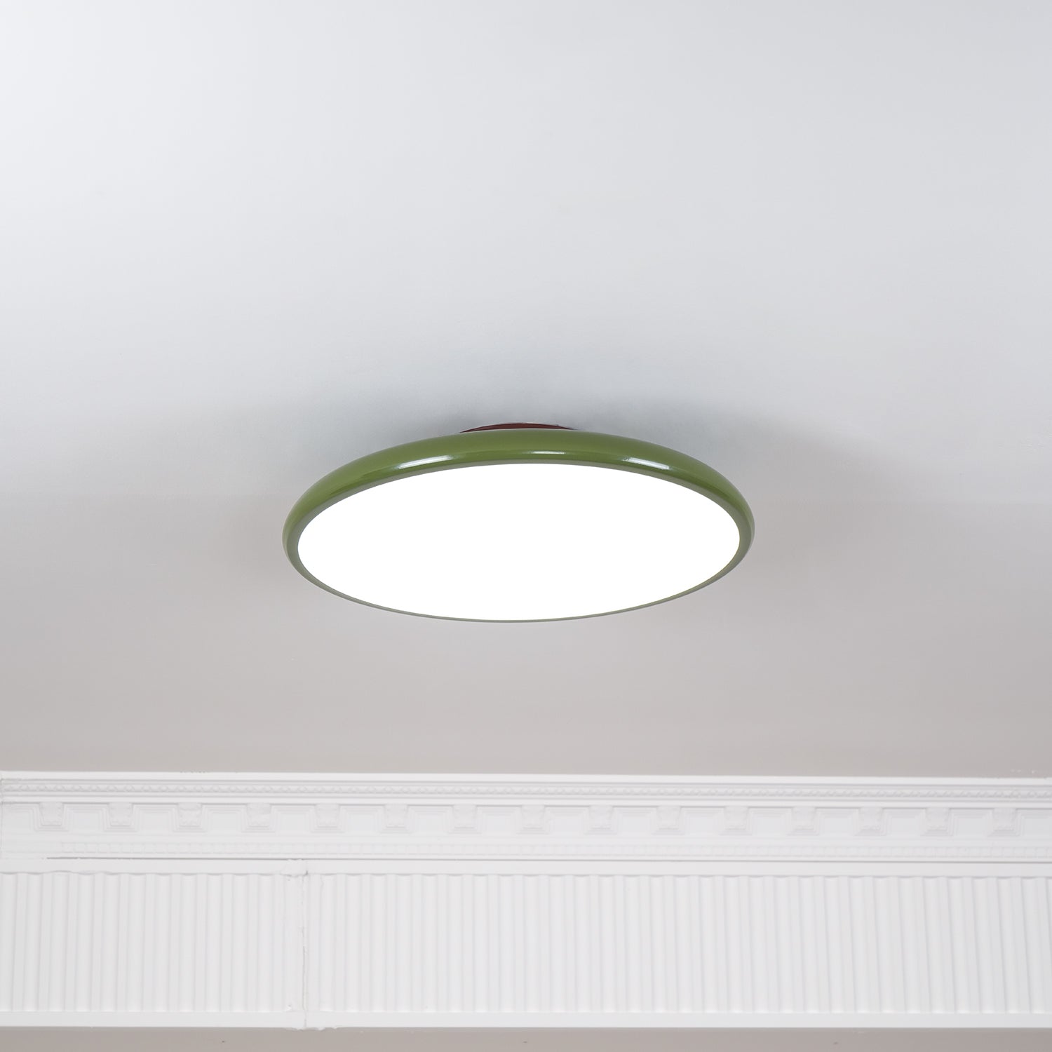 Elmsfield Adjustable Flush Mount Ceiling Light