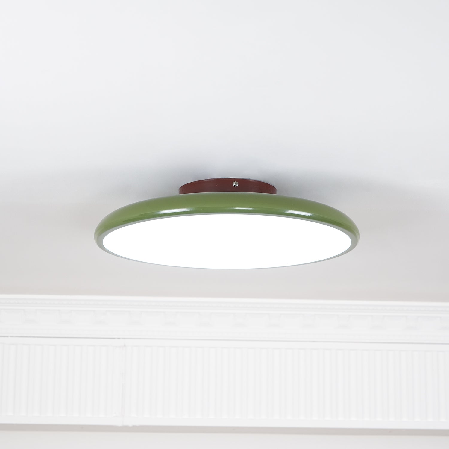 Elmsfield Adjustable Flush Mount Ceiling Light