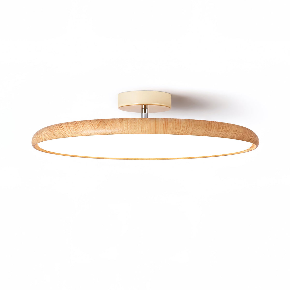 Ralemu Modern Minimalist Adjustable Ceiling Lamp