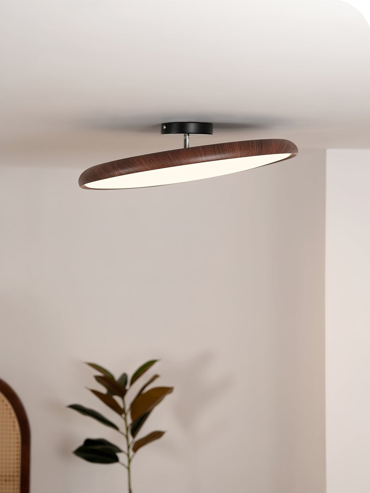 Ralemu Modern Minimalist Adjustable Ceiling Lamp