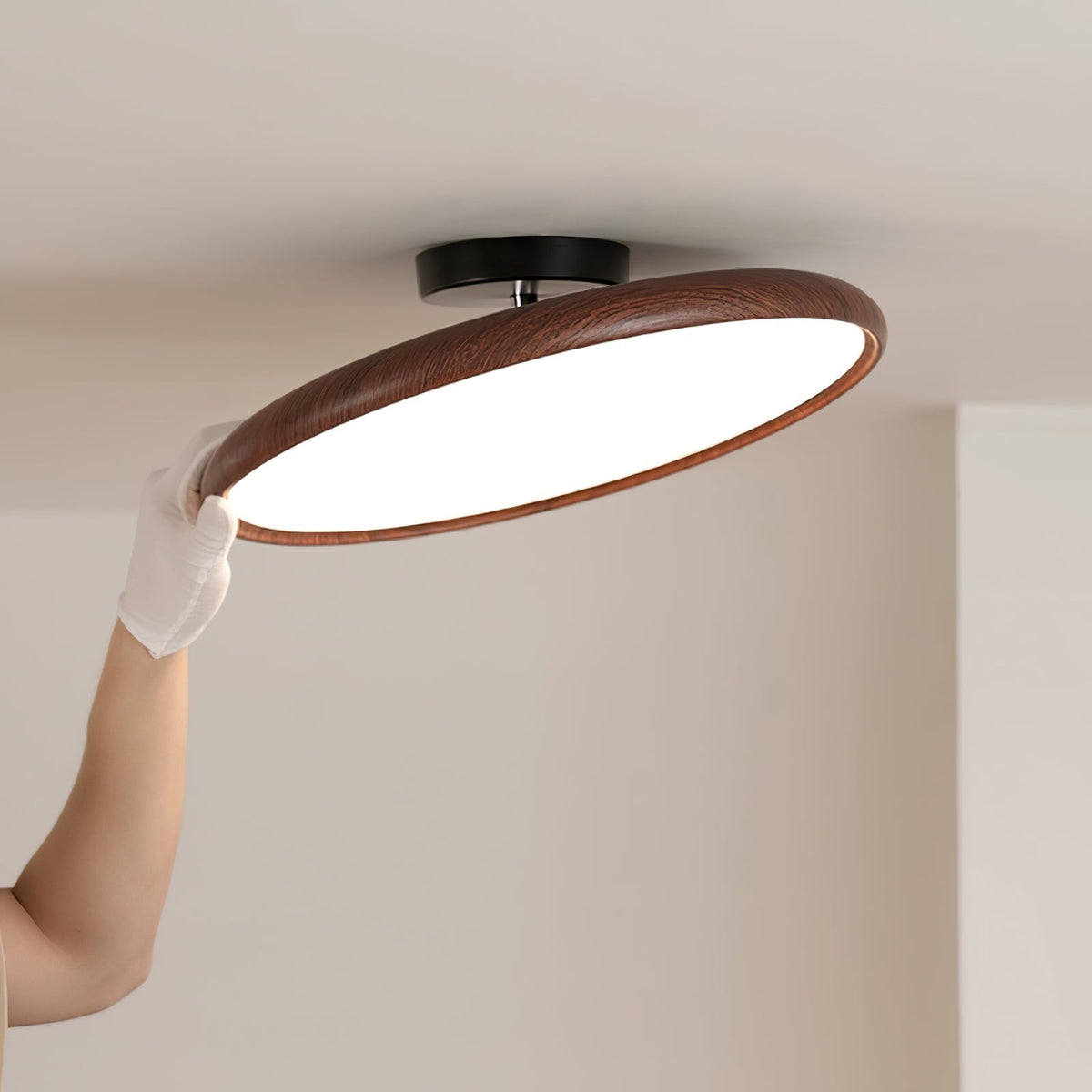 Ralemu Modern Minimalist Adjustable Ceiling Lamp