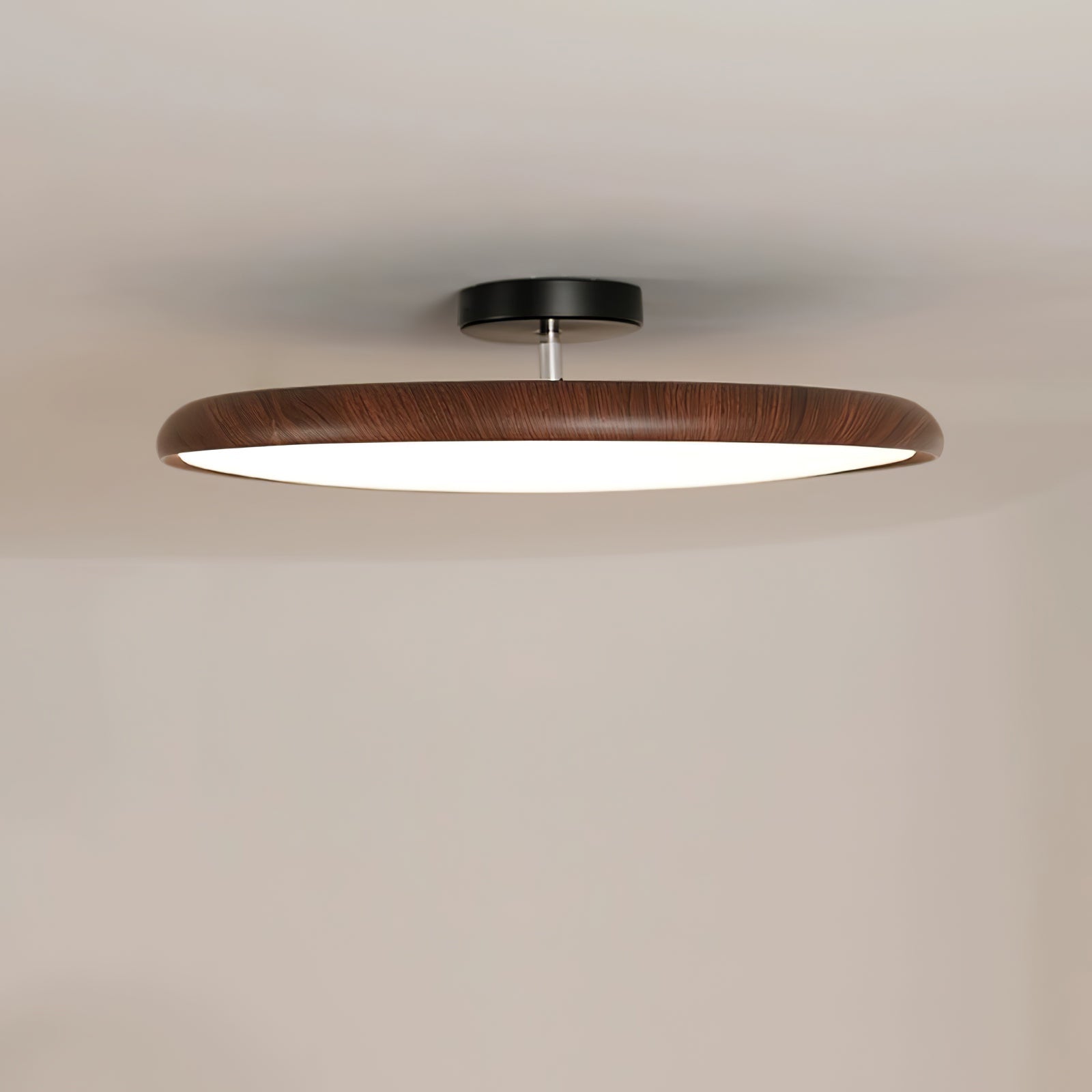 Ralemu Modern Minimalist Adjustable Ceiling Lamp