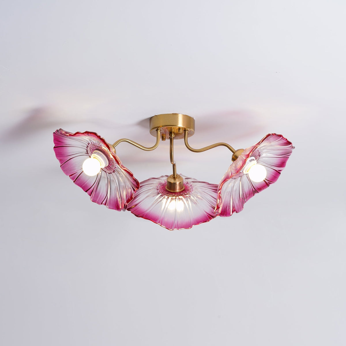 Lioruina Ceiling Lamp Leaf Glass with Brass Elegant