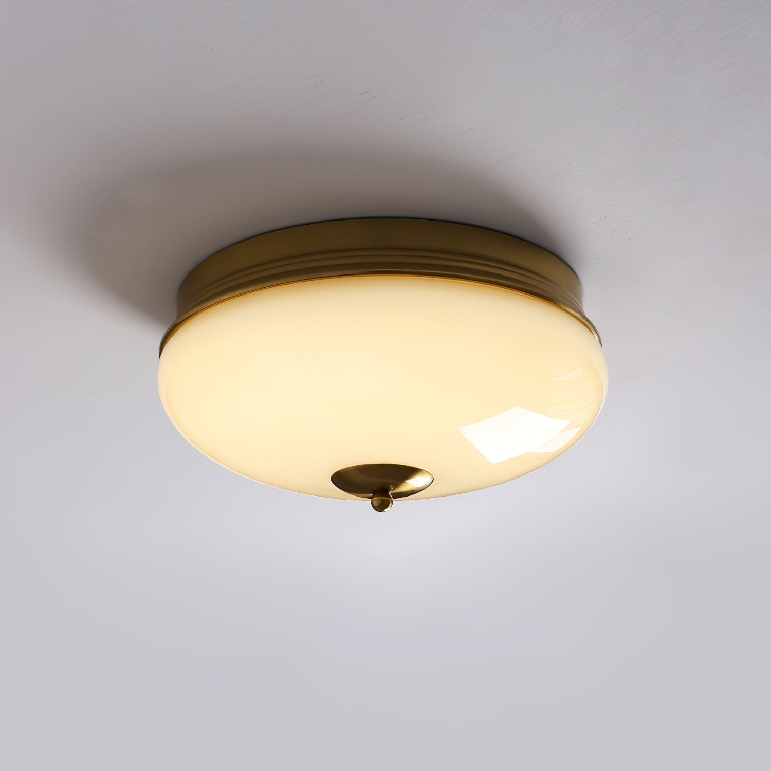 Elaalian Ceiling Light