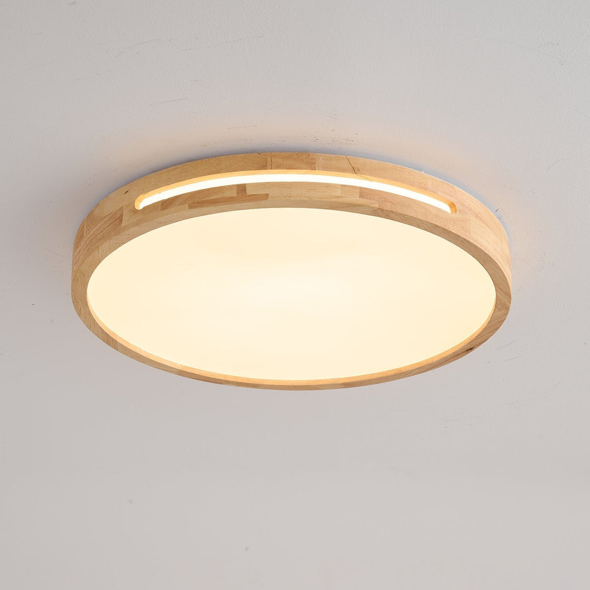 Vizoros Modern Minimalist Ceiling Light