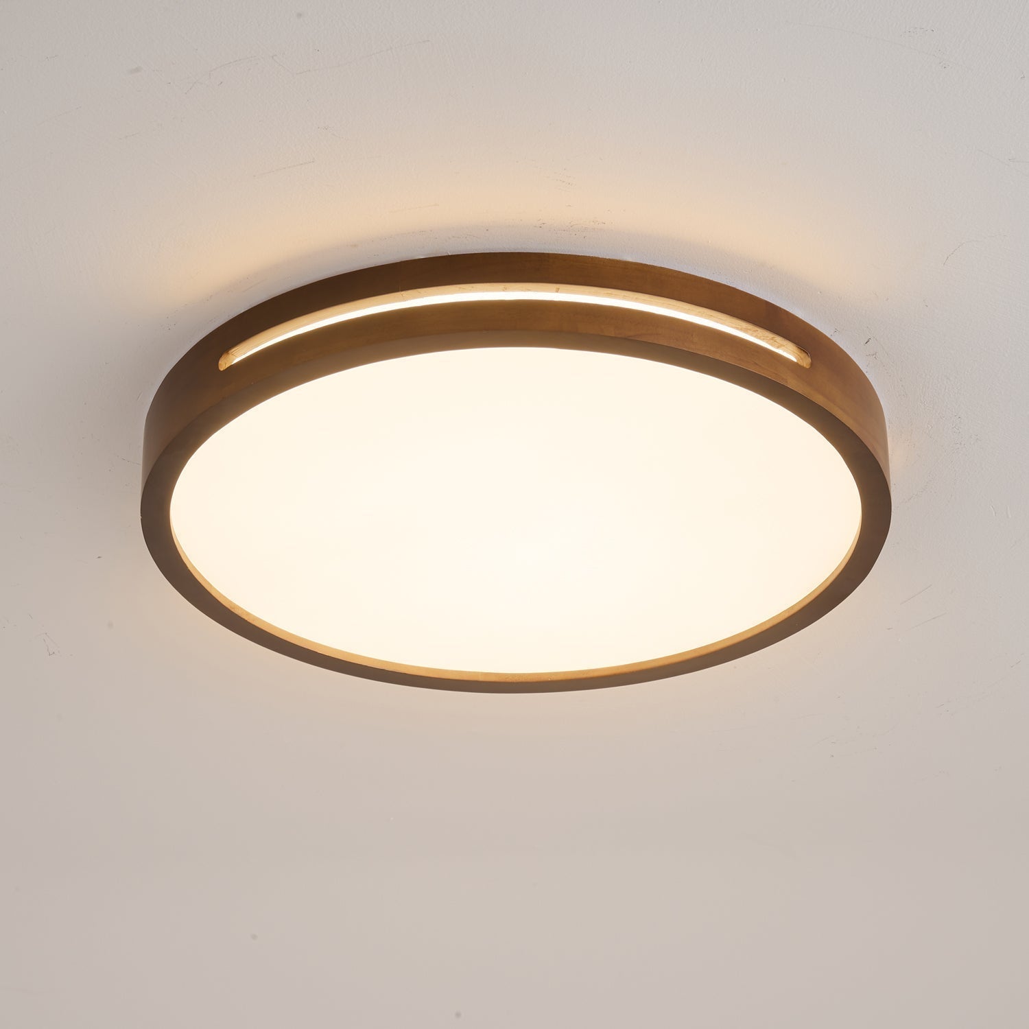 Vizoros Modern Minimalist Ceiling Light