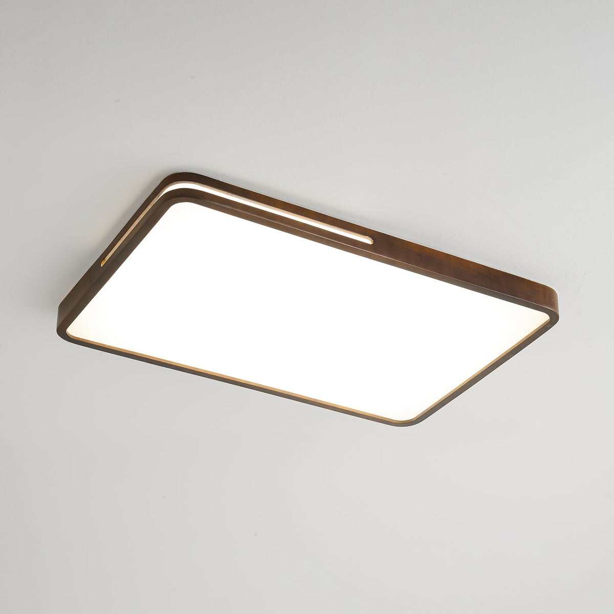 Vizoros Modern Minimalist Ceiling Light