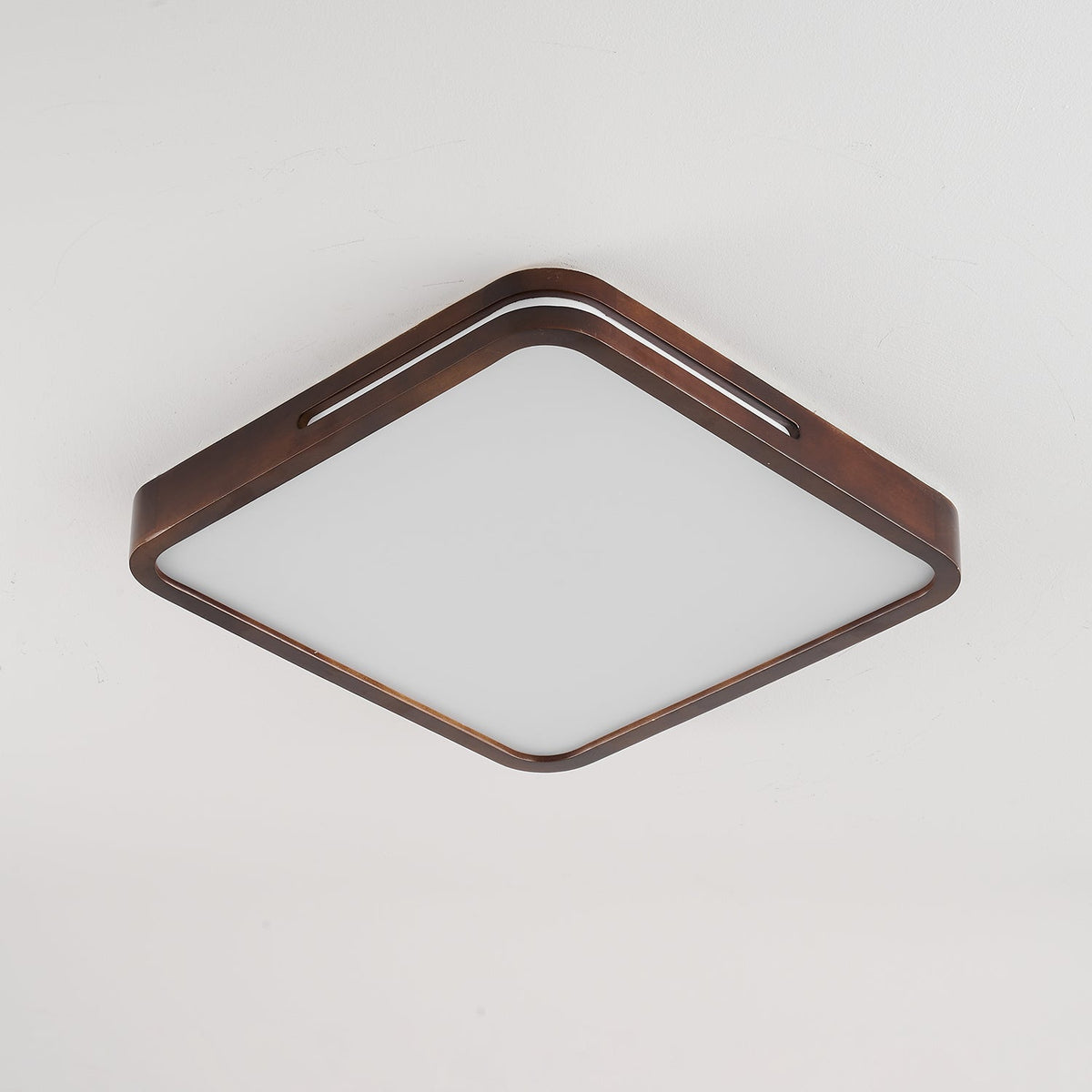 Vizoros Modern Minimalist Ceiling Light