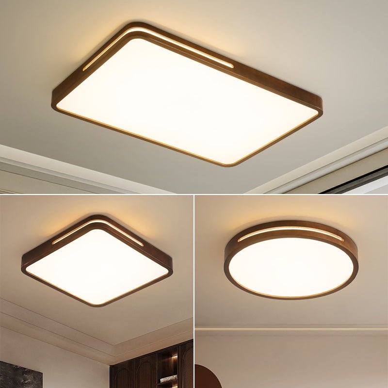 Vizoros Modern Minimalist Ceiling Light