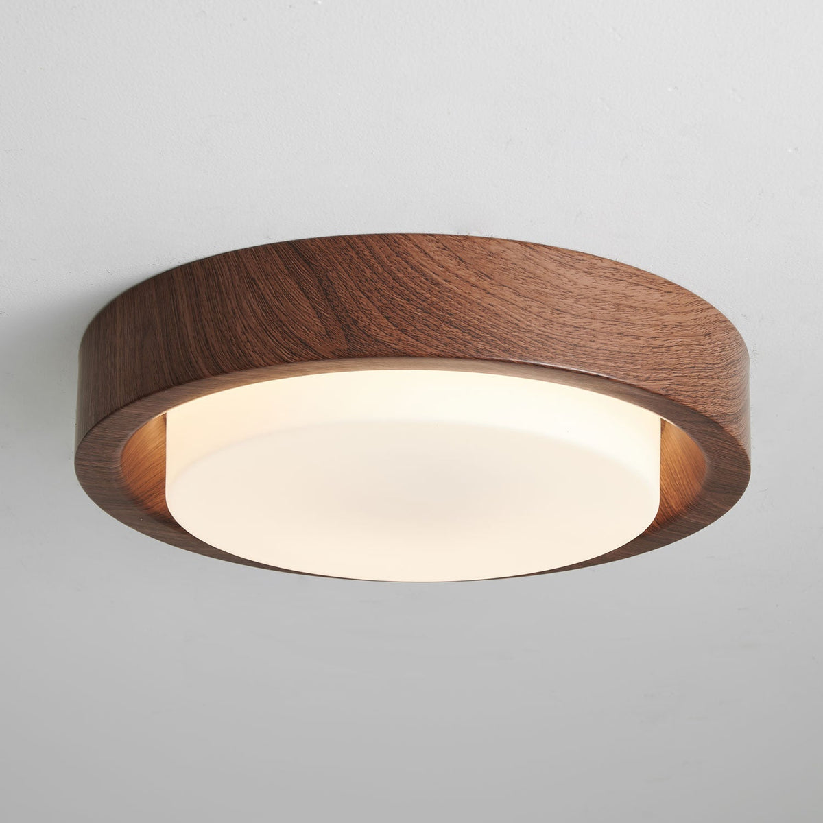 Sylaeon Minimalist Wood Ceiling Light