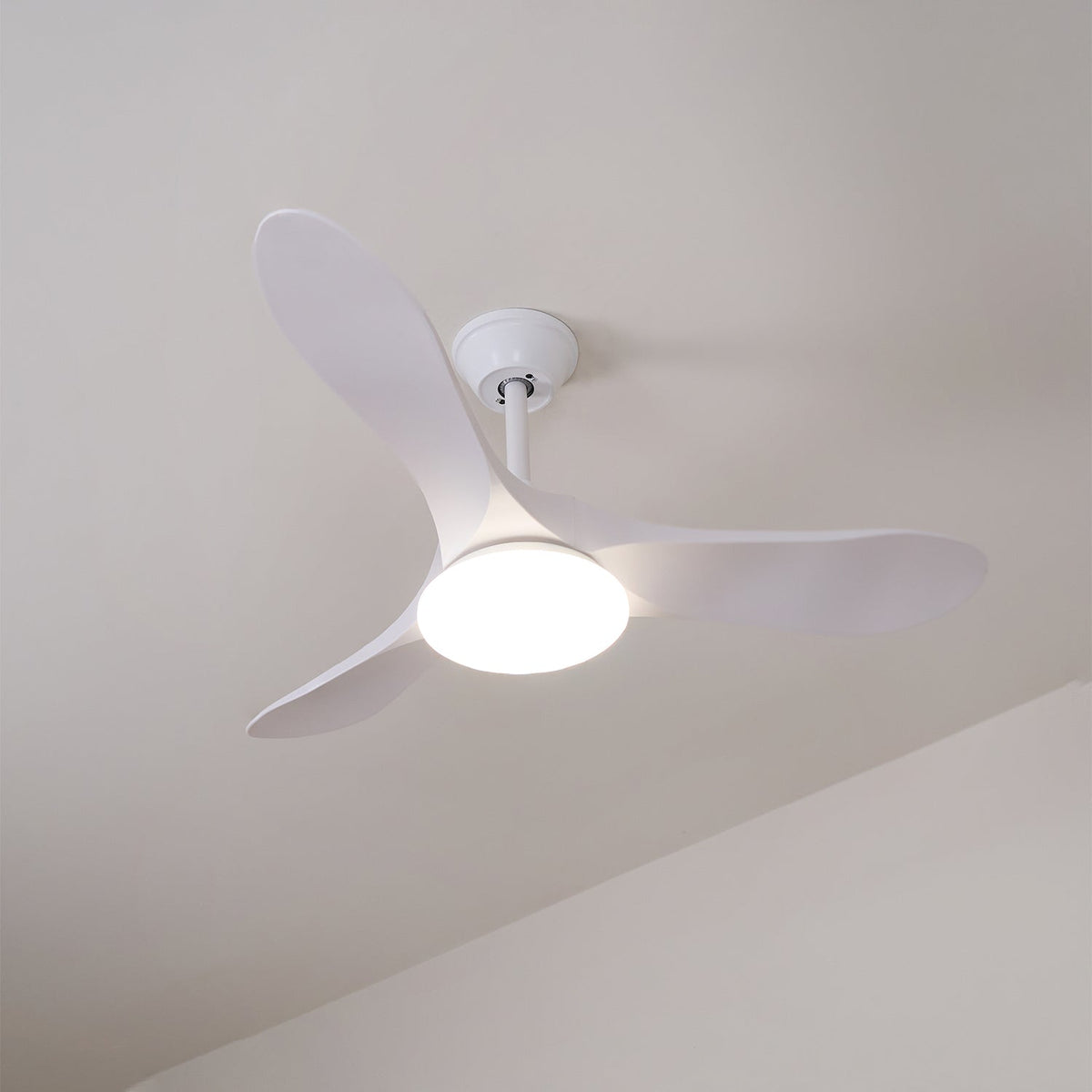 Miriveon Drift Ceiling Fan Light