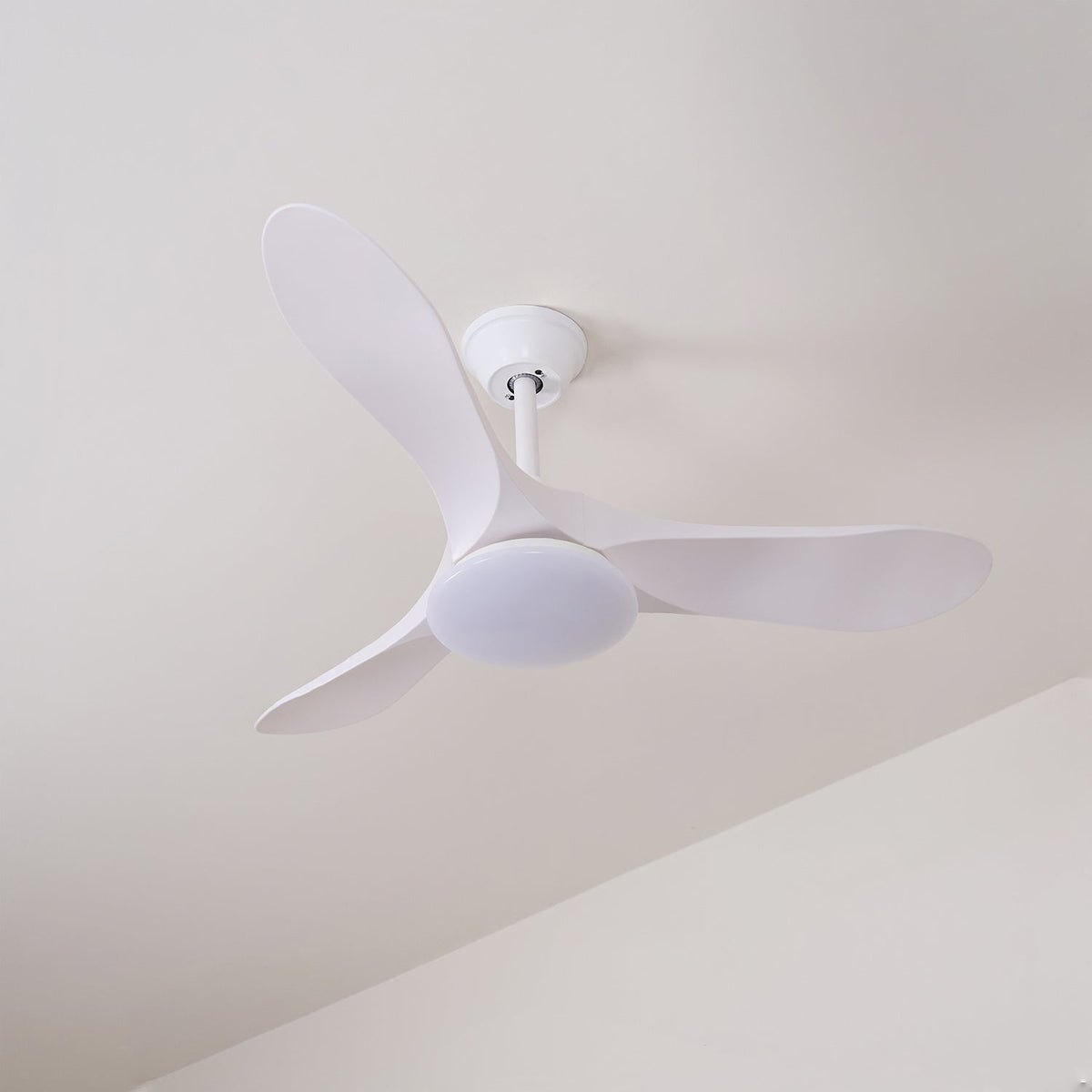 Oriken Minimalist Ceiling Fan Light