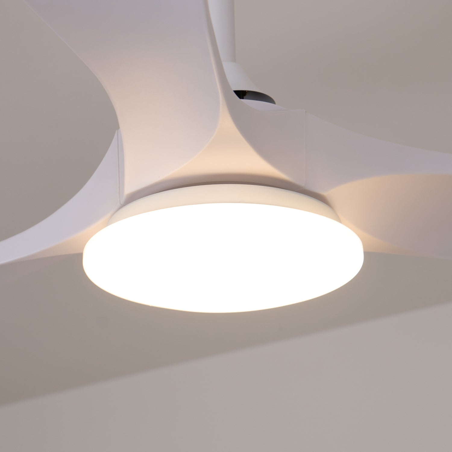 Velix Modern Wood Ceiling Fan Light