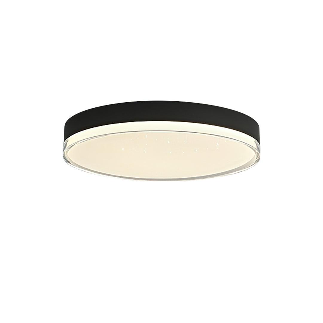 Cemariel Modern Minimalist Ceiling Lamp