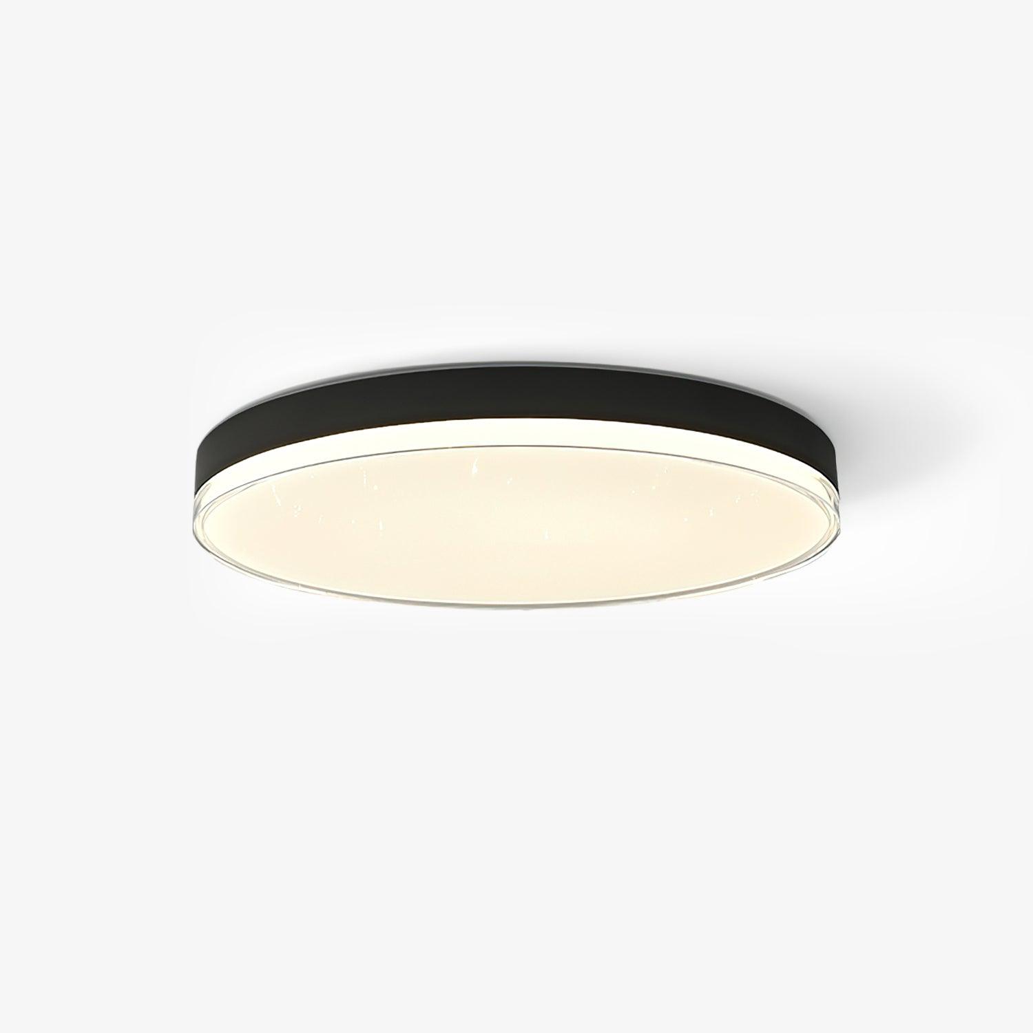 Cemariel Modern Minimalist Ceiling Lamp