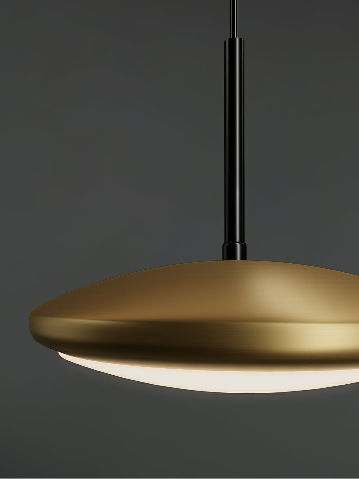 Tildas Pendant Lamp Geometric Ring Minimalist