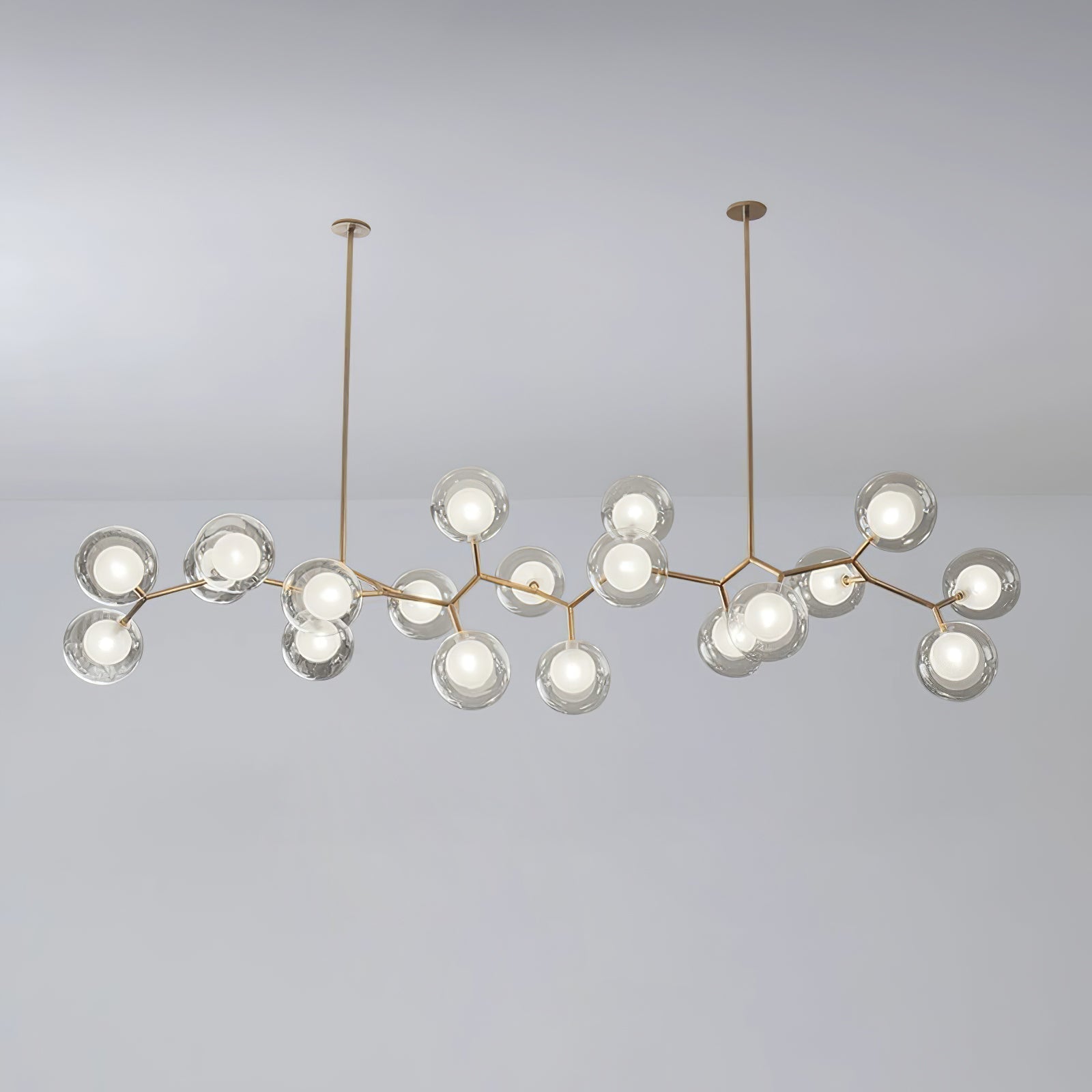 Ivexin Branch Brass Pendant Light