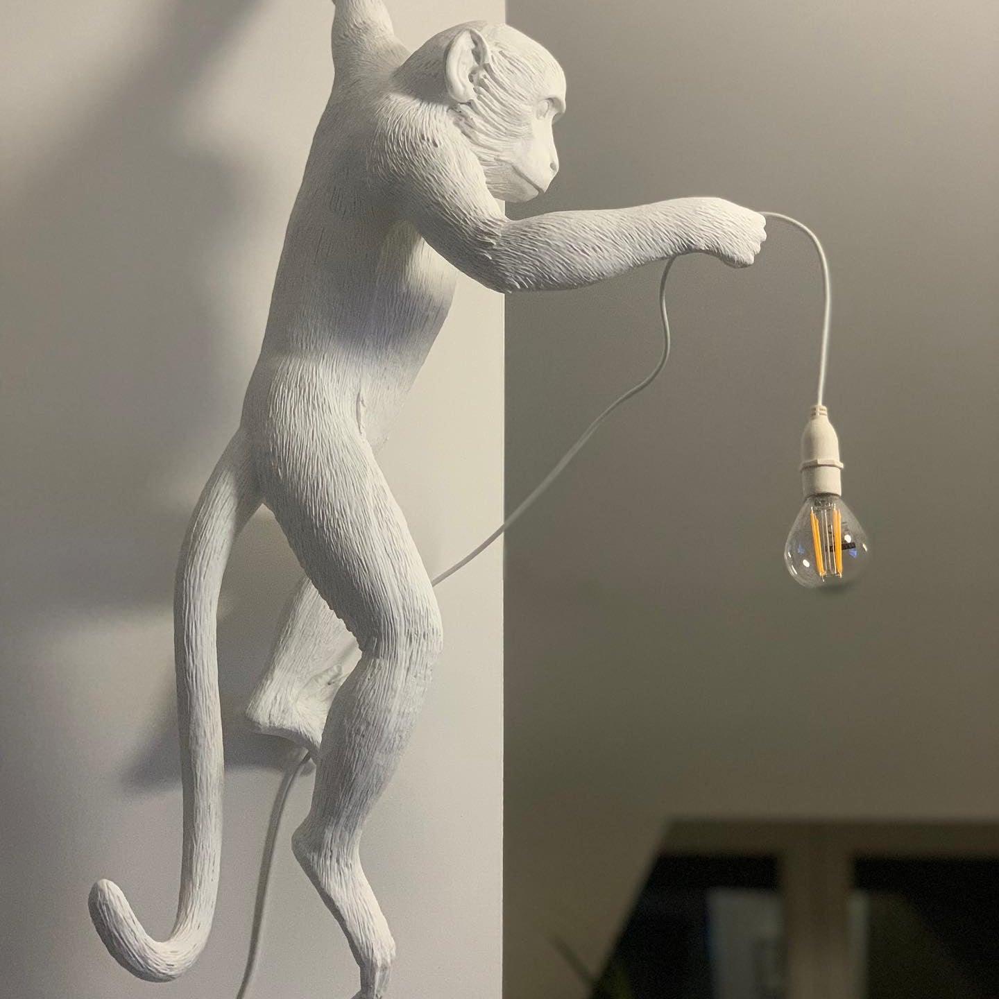 Bnx Art Unique Monkey Resin Wall Lamp