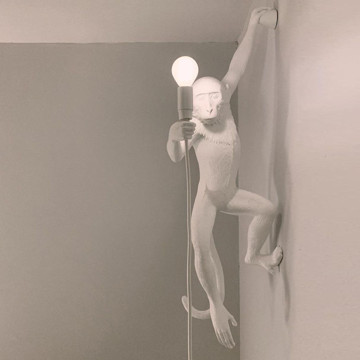 Bnx Art Unique Monkey Resin Wall Lamp