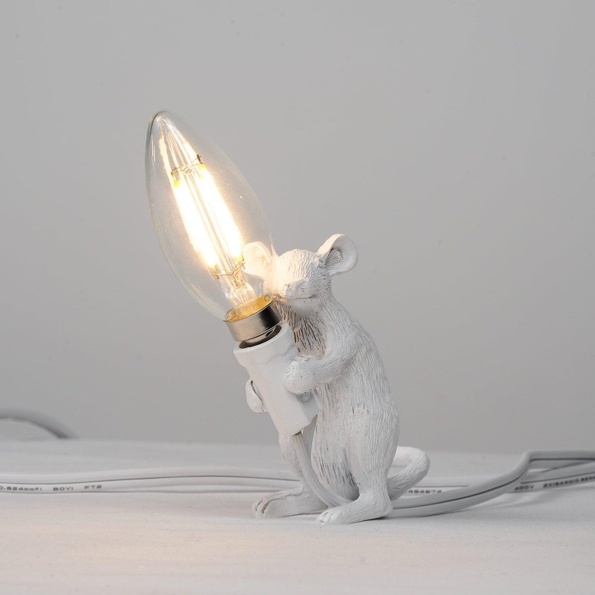 Kalinix Resin Whimsical Table Light