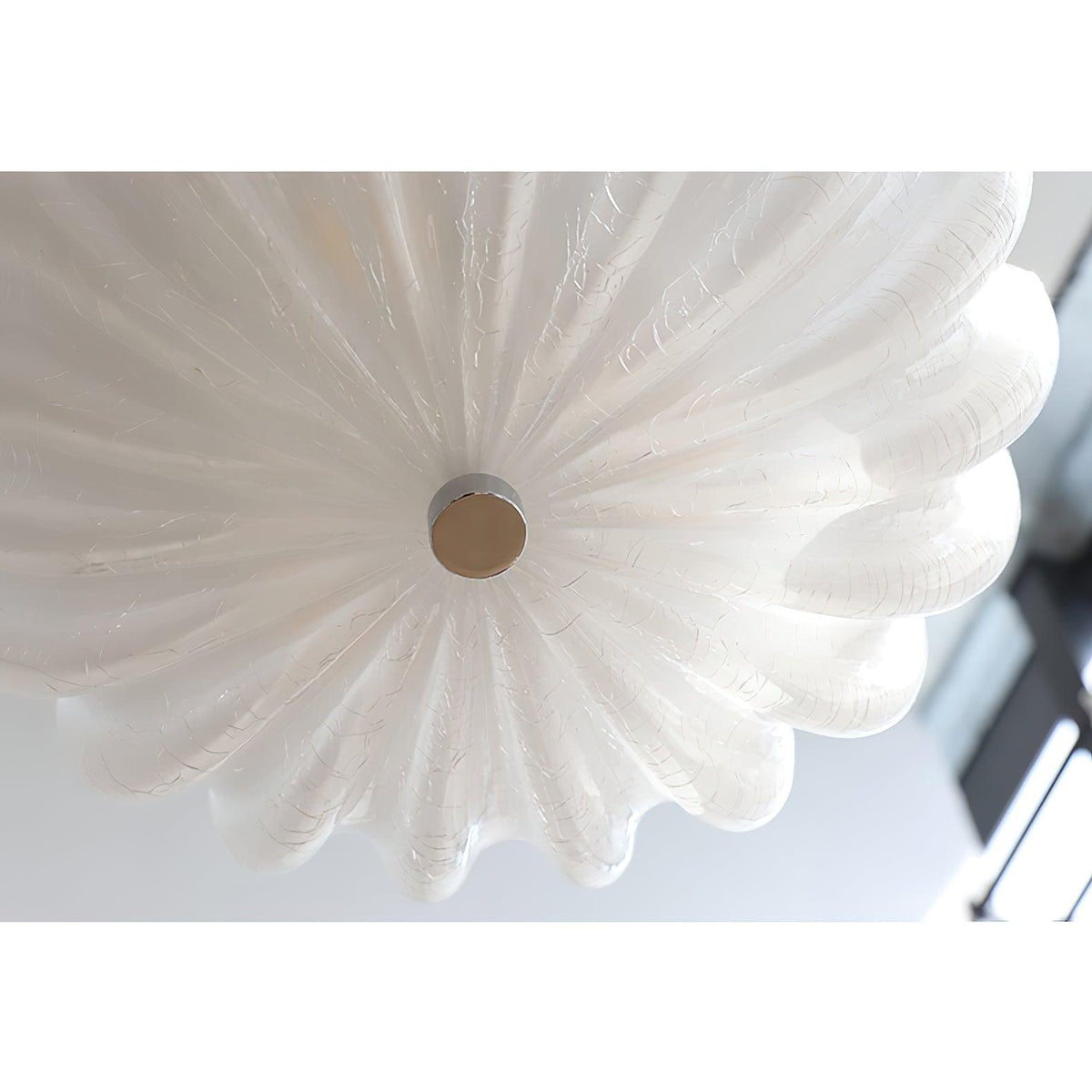 Urelis Ceiling Lamp Murano Blown Glass Shell Inspired