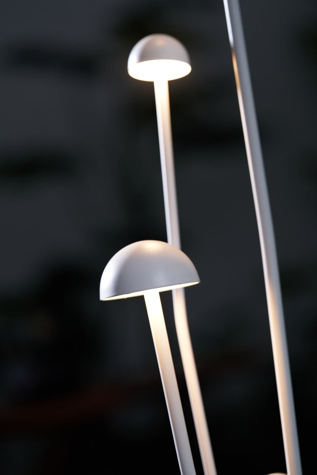 Nolv Outdoor Lamp