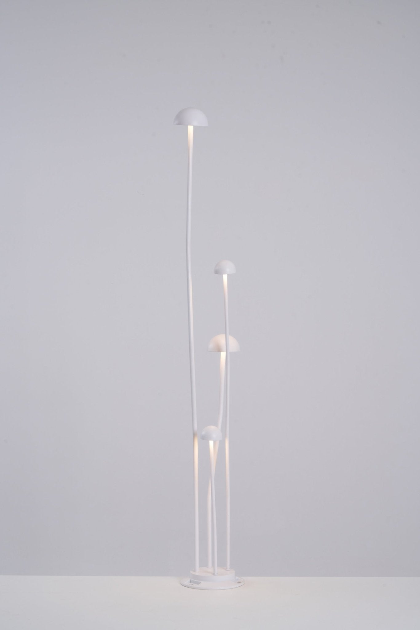 Nolv Outdoor Lamp