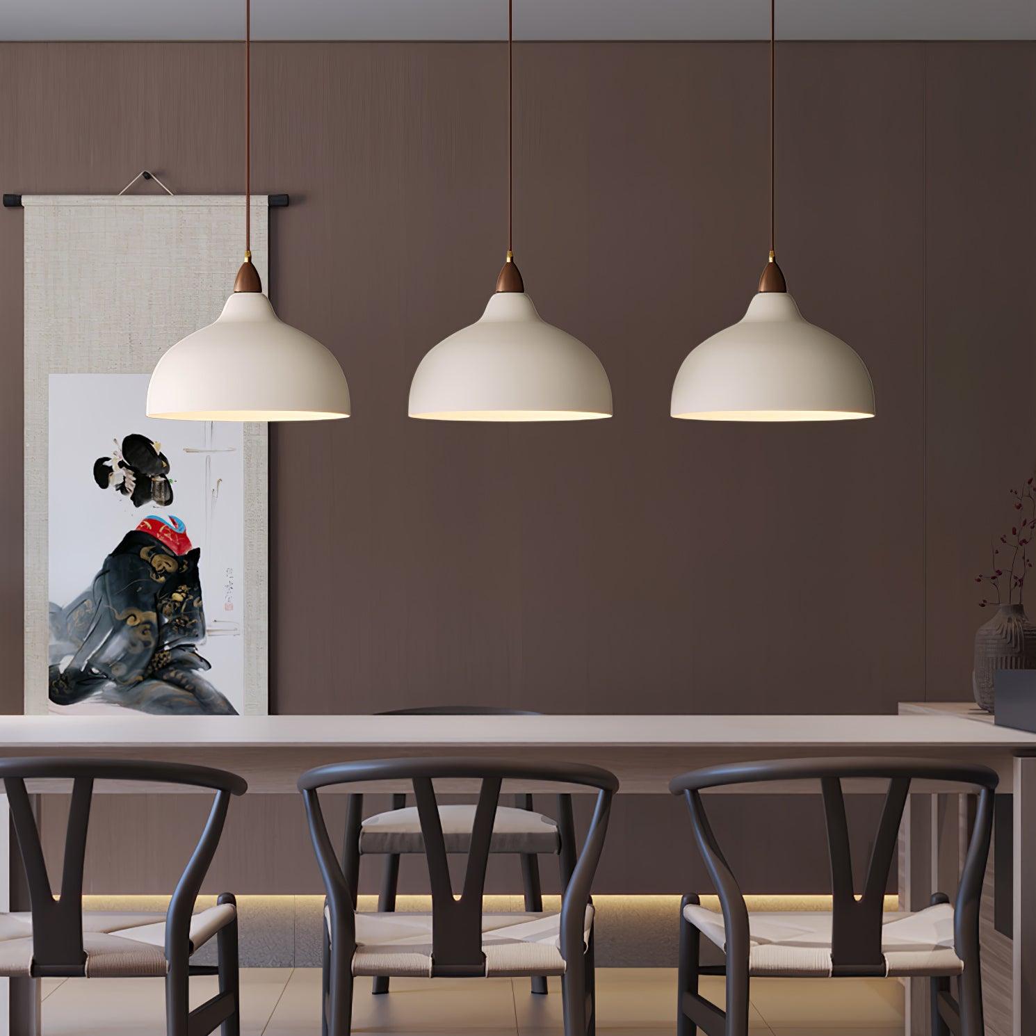 Nororena Minimalist Pendant Lamp