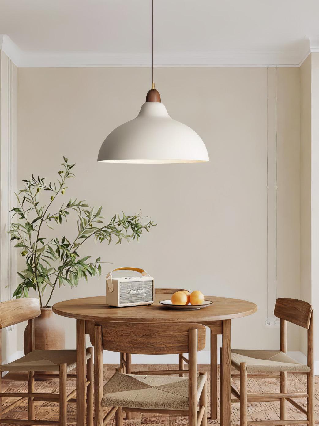Nororena Minimalist Pendant Lamp