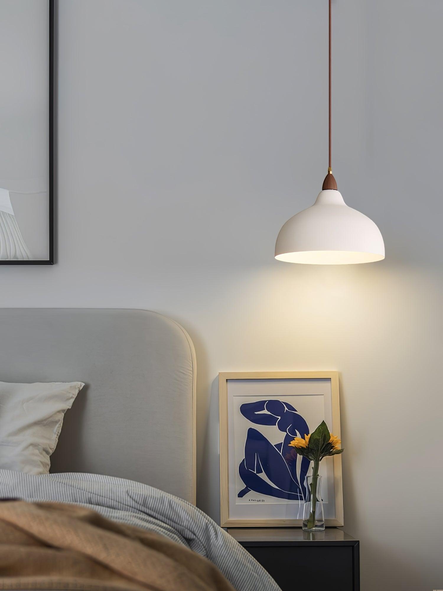 Nororena Minimalist Pendant Lamp