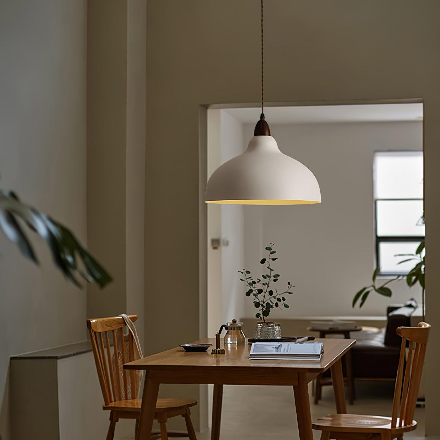 Nororena Minimalist Pendant Lamp