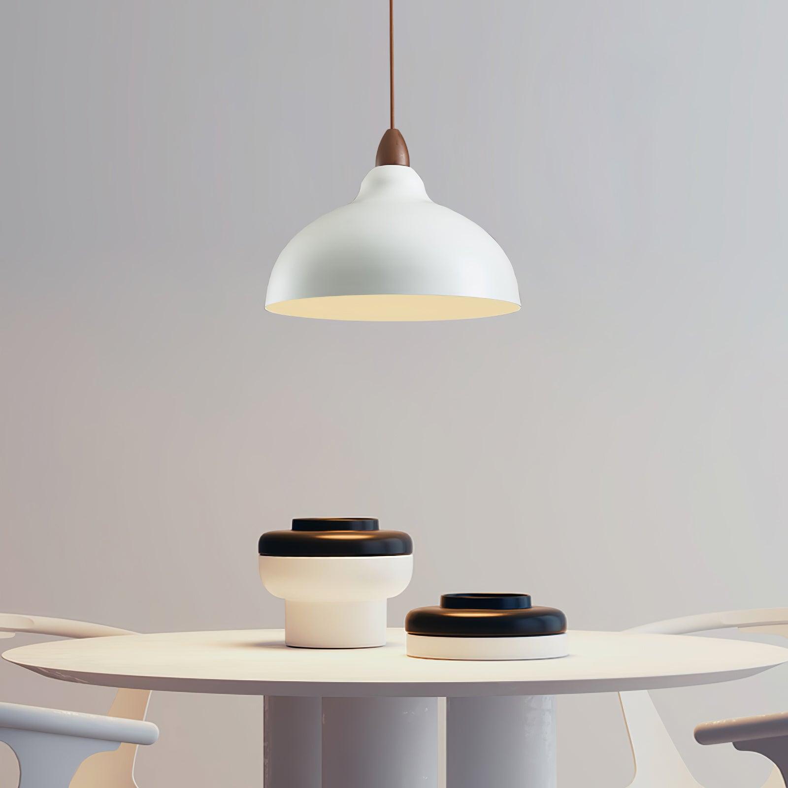 Nororena Minimalist Pendant Lamp