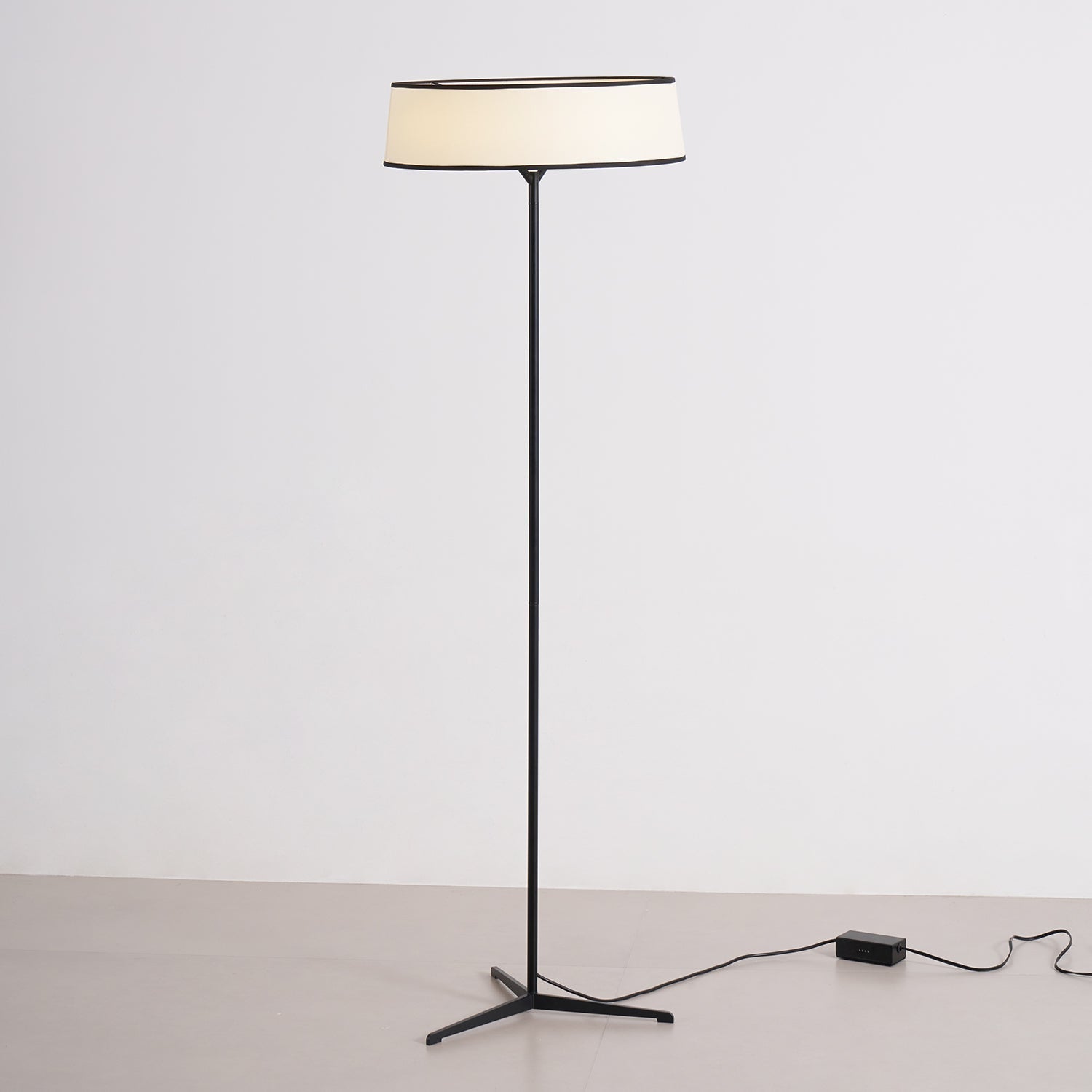 Zemaryre Modern Floor Lamp