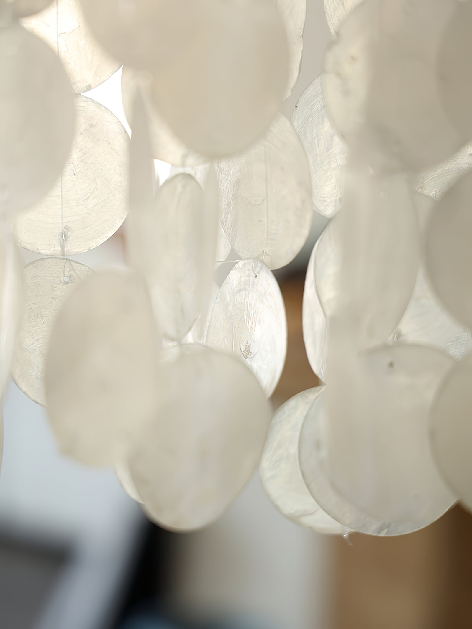 Eloryra Cascading Shell Chandelier