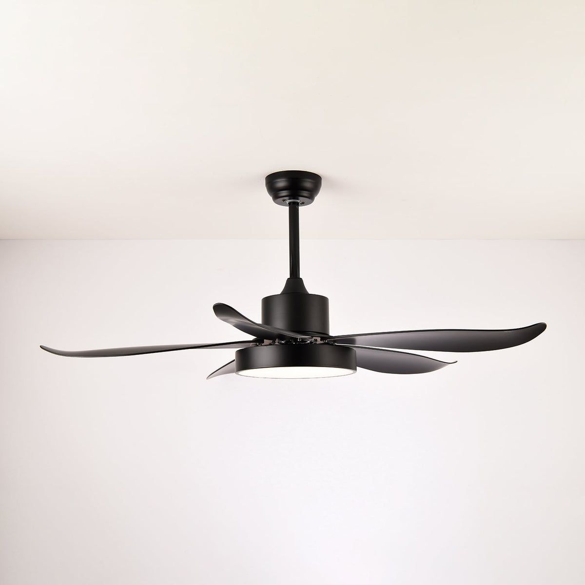 Selalise Modern Ceiling Fan Light