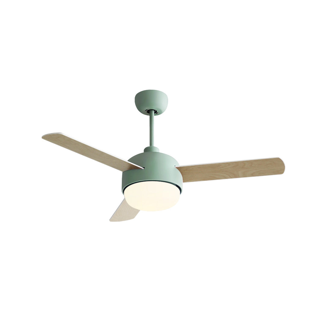 Cirareon Ceiling Fan Light